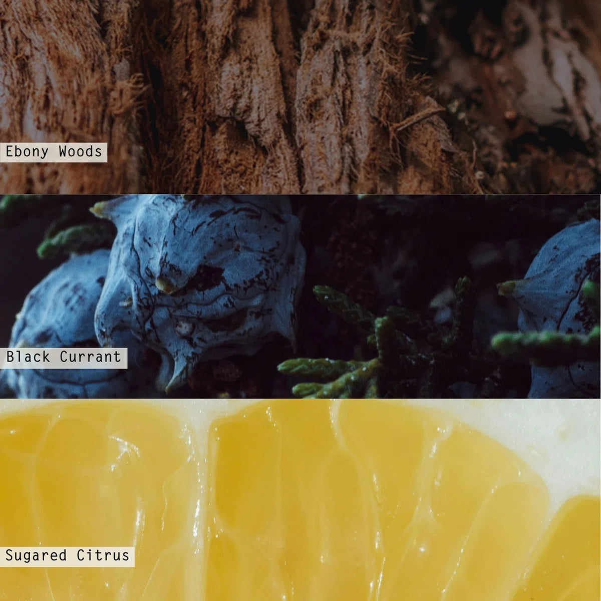 ILLUME NORTH SKY LARGE RADIANT GLASS CANDLE