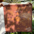 RAISE HELL BANDANA