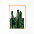 CACTI COLLAGE PRINT 13X19