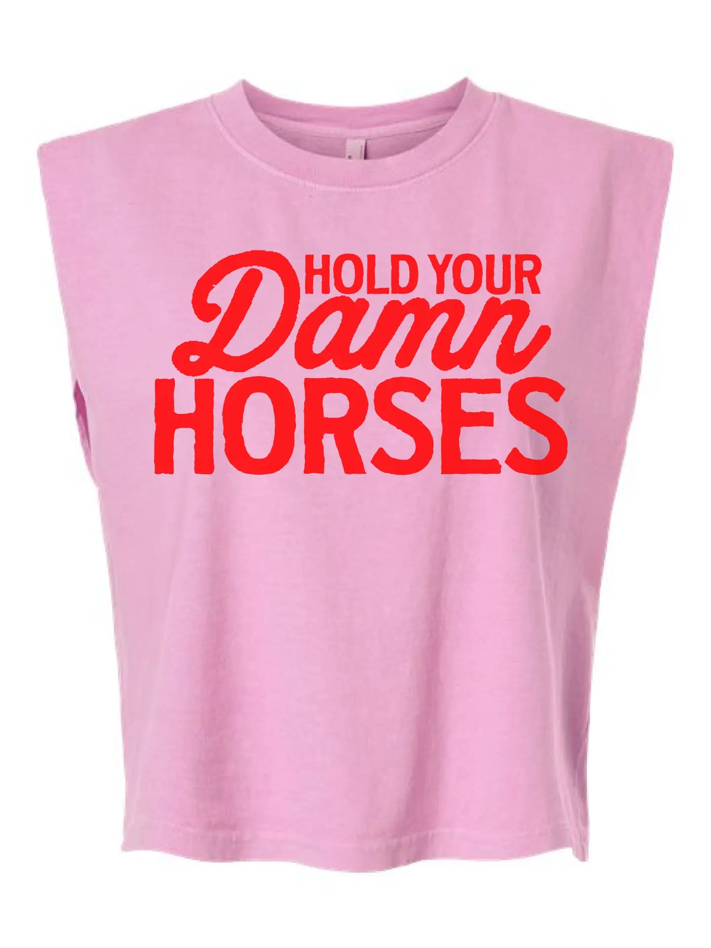 HOLD YOUR DAMN HORSES